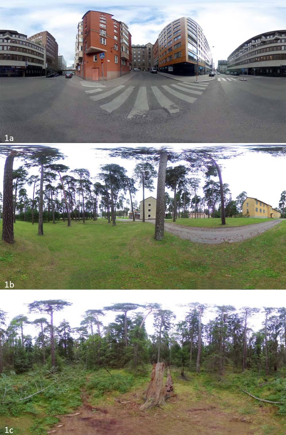 Reduction of physiological stress by urban green space in a multisensory  virtual experiment | Scientific Reports