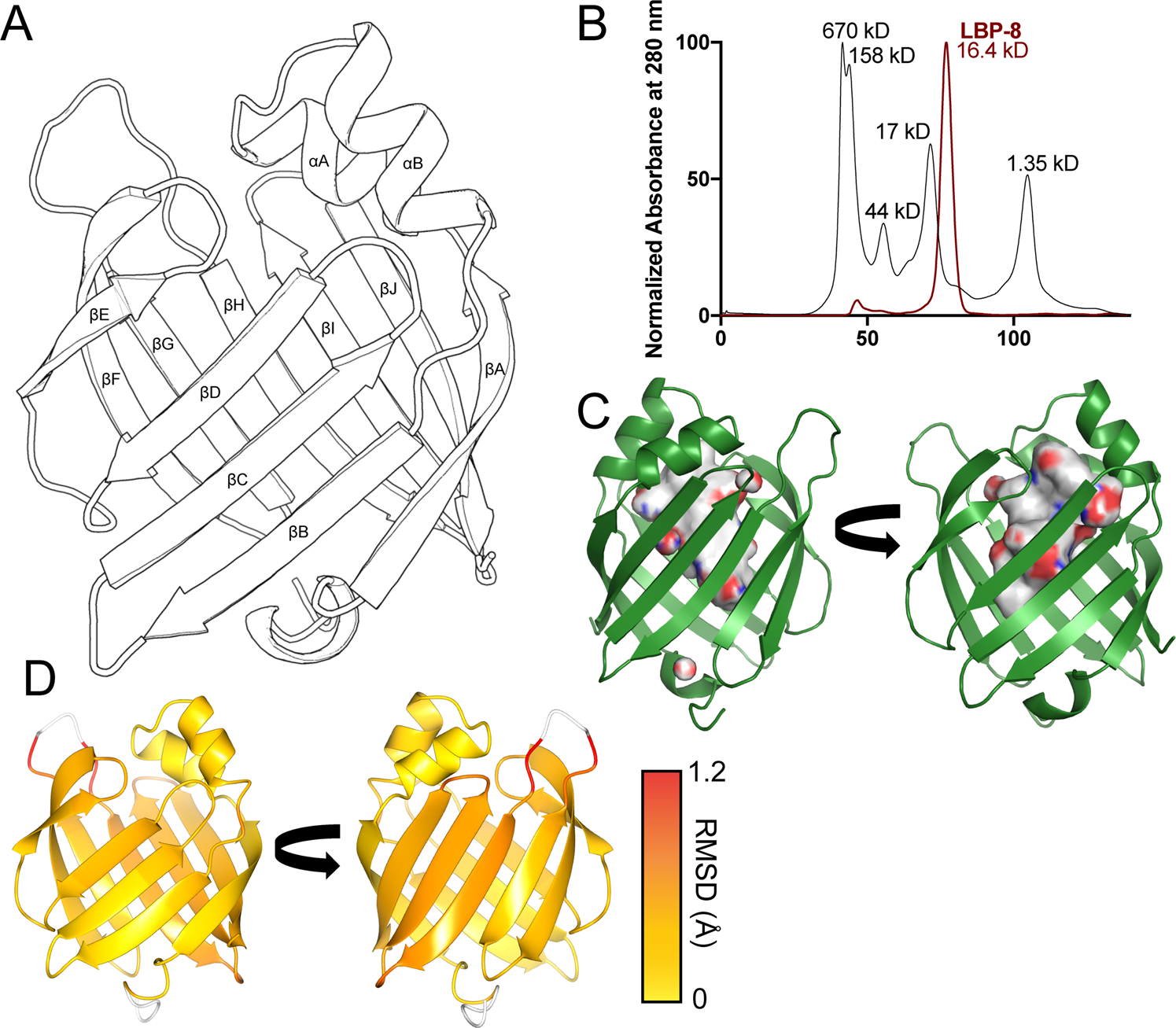 Structural characterization of life-extending Caenorhabditis elegans Lipid  Binding Protein 8 | Scientific Reports