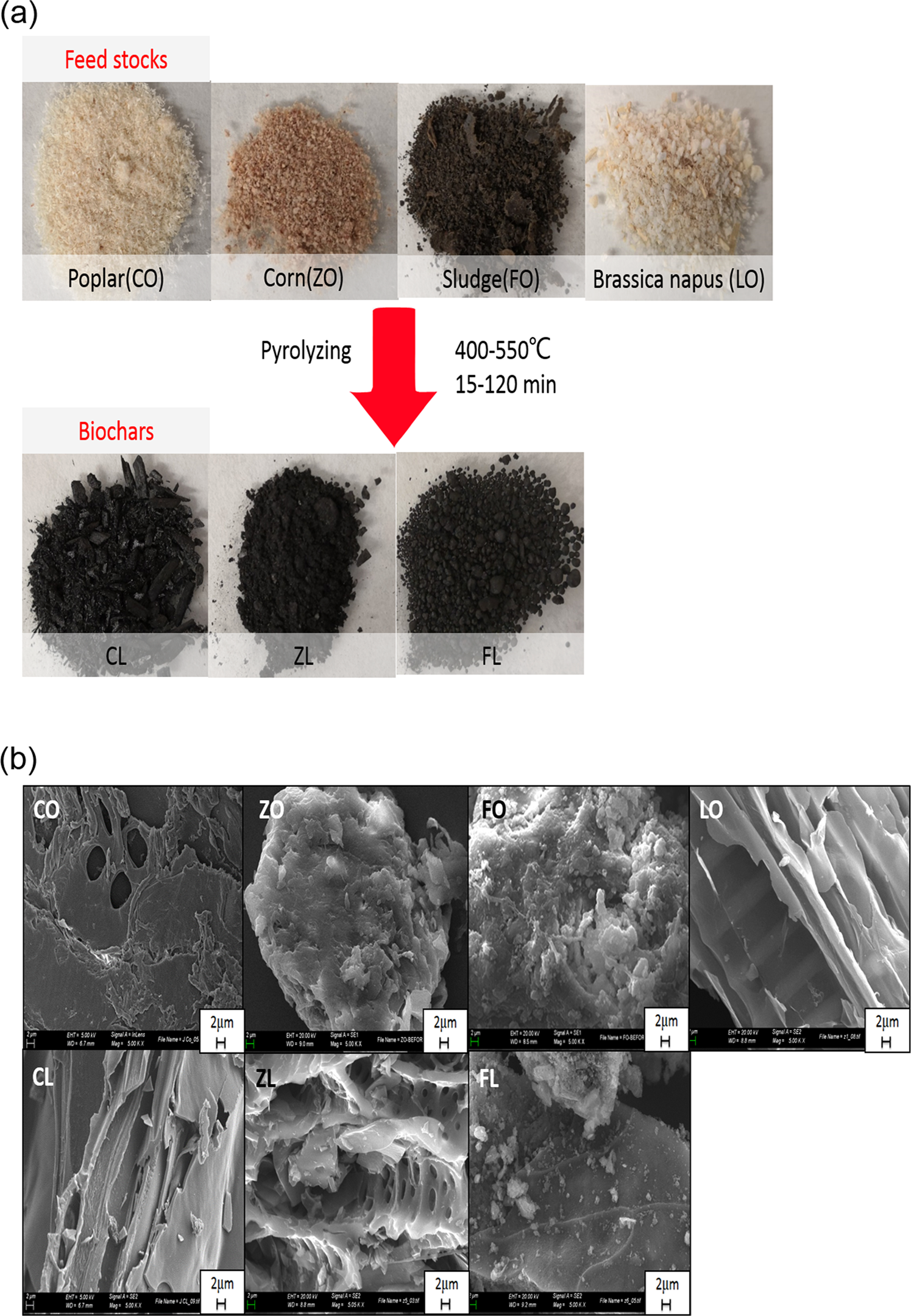 Comparison Of Biochars Derived From Different Types Of Feedstock And Their Potential For Heavy Metal Removal In Multiple Metal Solutions Scientific Reports
