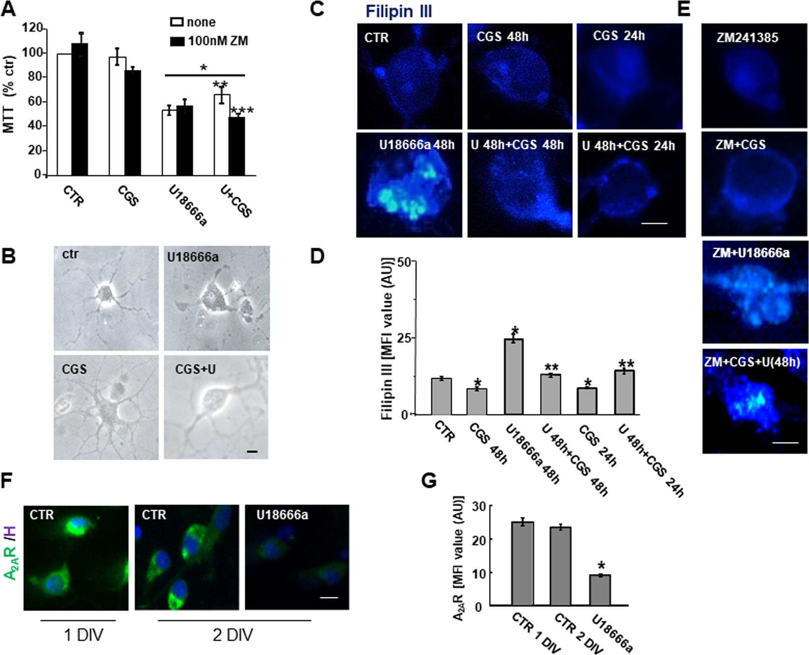 Frontiers  Lysosomal and Mitochondrial Liaisons in Niemann-Pick