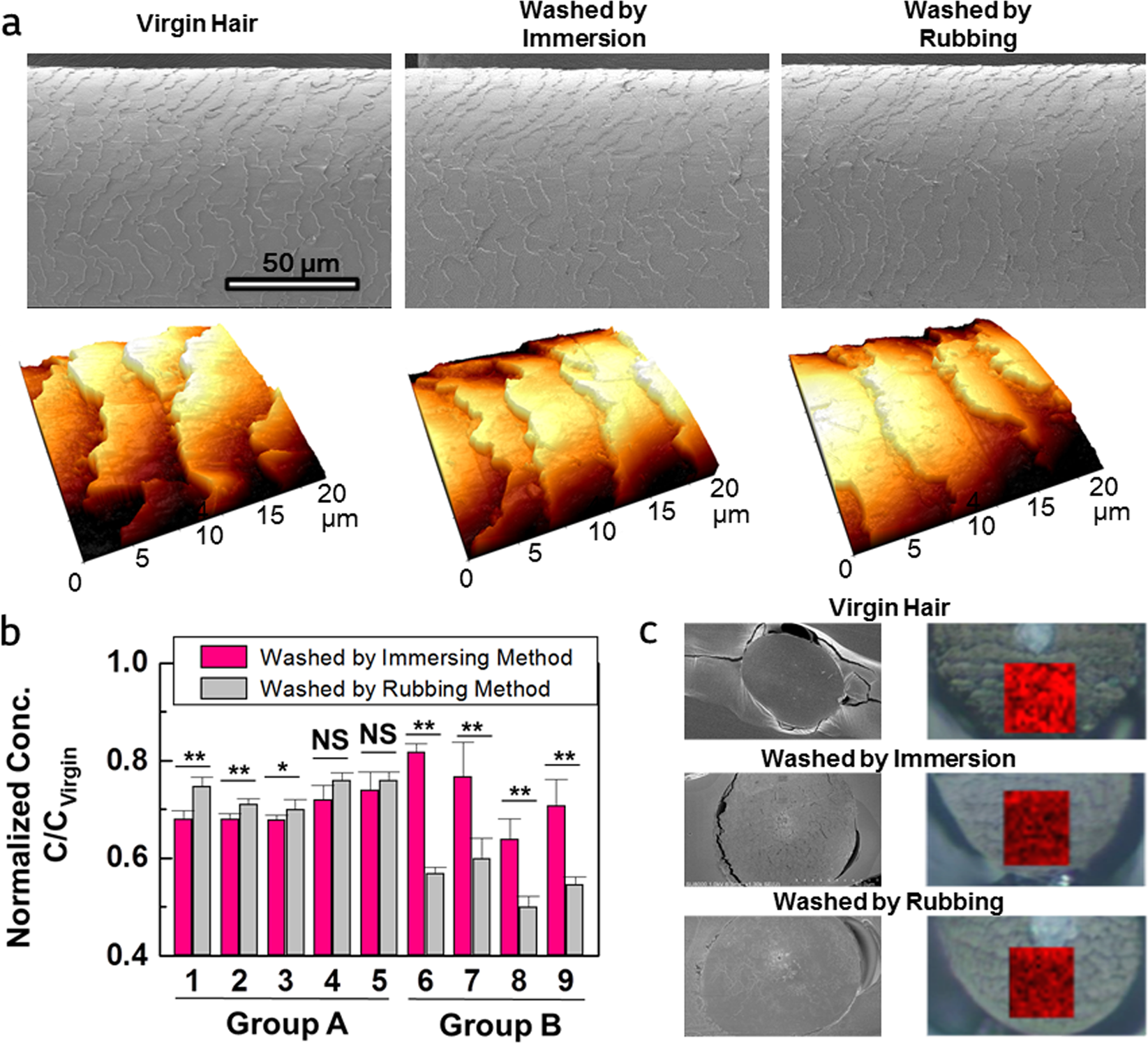 Prevention of lipid loss from hair by surface and internal modification | Scientific Reports Prevention of lipid loss from hair by surface and internal modification | Scientific Reports