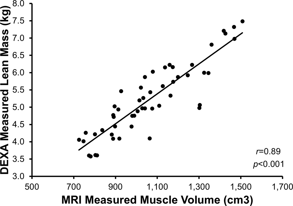 MRI-derived LV parameters of the study group in comparison to normal