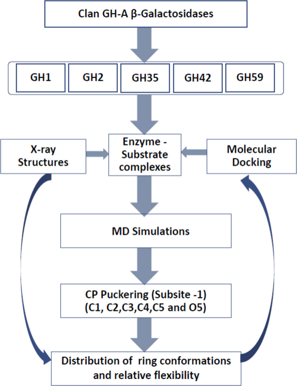 Enzyme Substrate And Product Chart