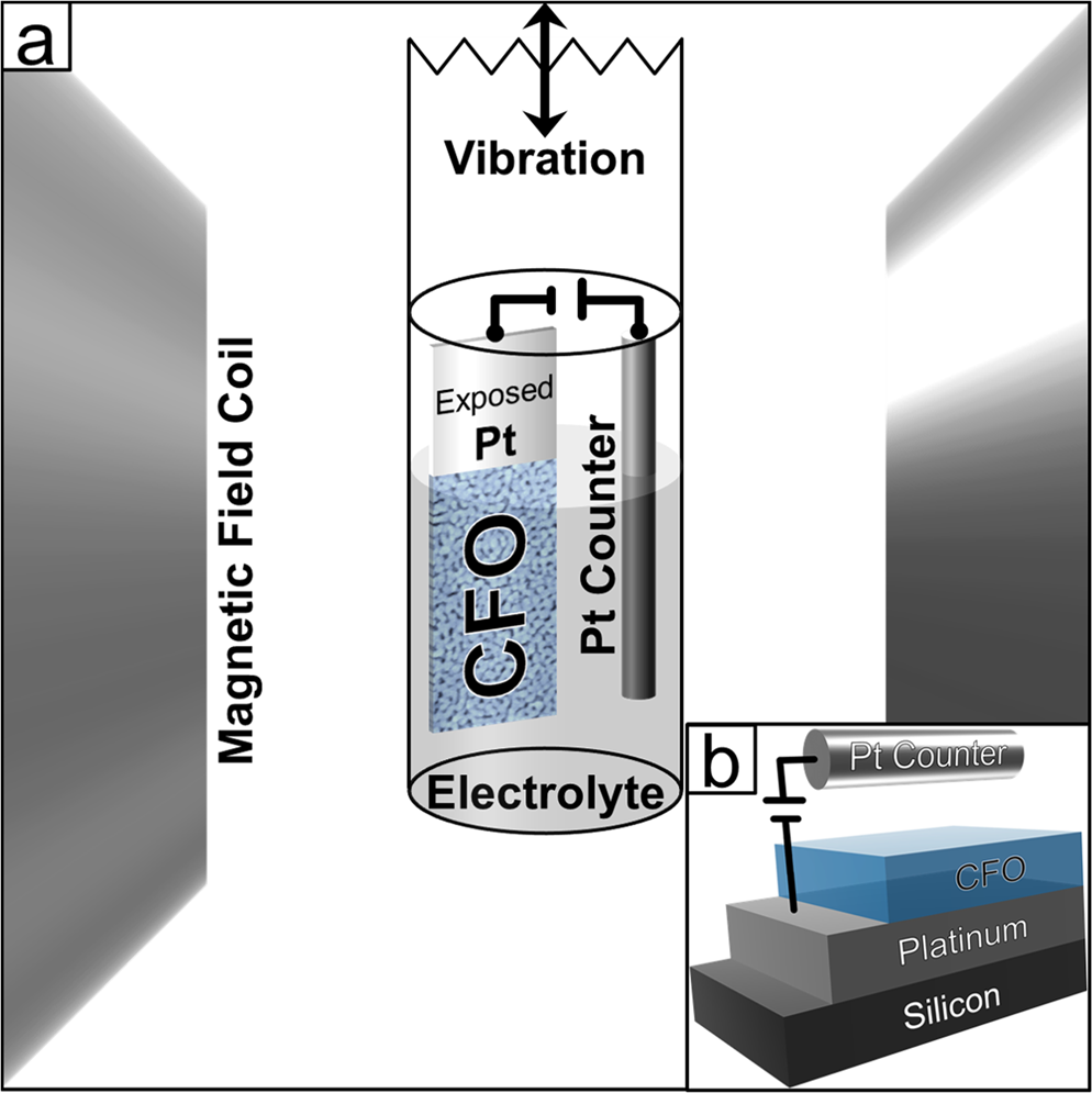 Reversible Electric Field Induced Magneto Ionic Control Of