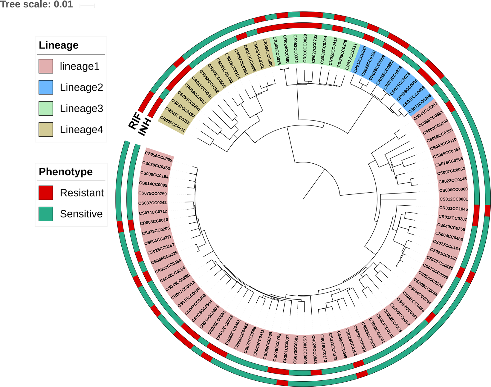 Identification and Characterization of Genetic Determinants of Isoniazid  and Rifampicin Resistance in Mycobacterium tuberculosis in Southern India |  Scientific Reports