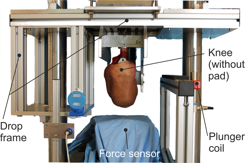 Force Impulse And Energy During Falling With And Without Knee Protection An In Vitro Study Scientific Reports