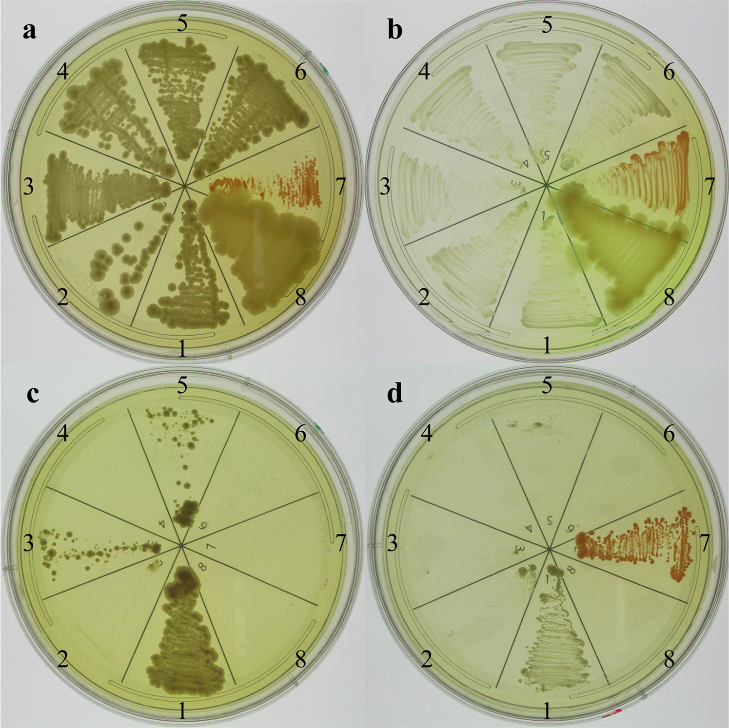 https://media.springernature.com/full/springer-static/image/art%3A10.1038%2Fs41598-019-47007-9/MediaObjects/41598_2019_47007_Fig1_HTML.png