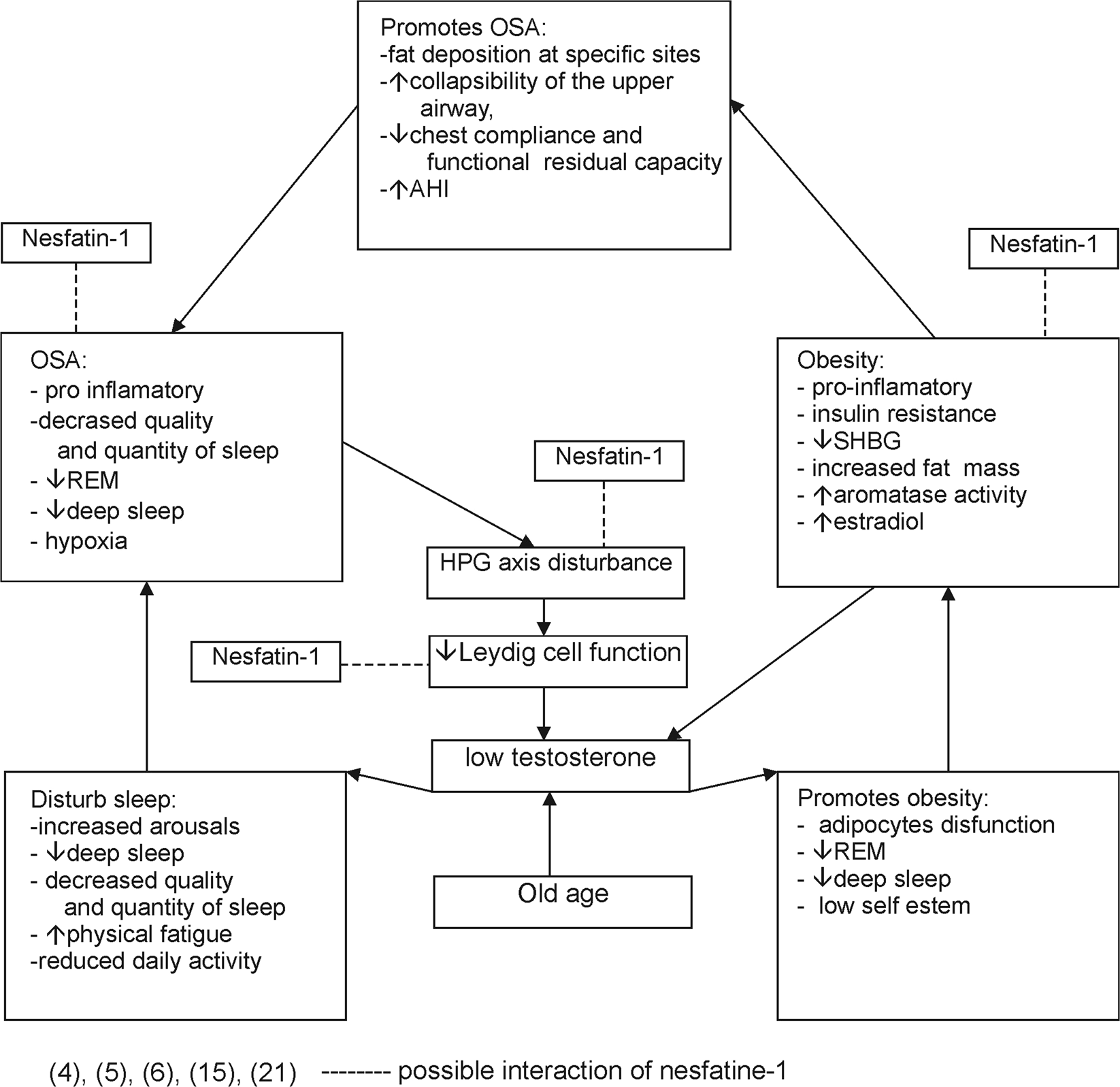 Does Nesfatin 1 Influence The Hypothalamic Pituitary Gonadal Axis In Adult Males With Obstructive Sleep Apnoea Scientific Reports