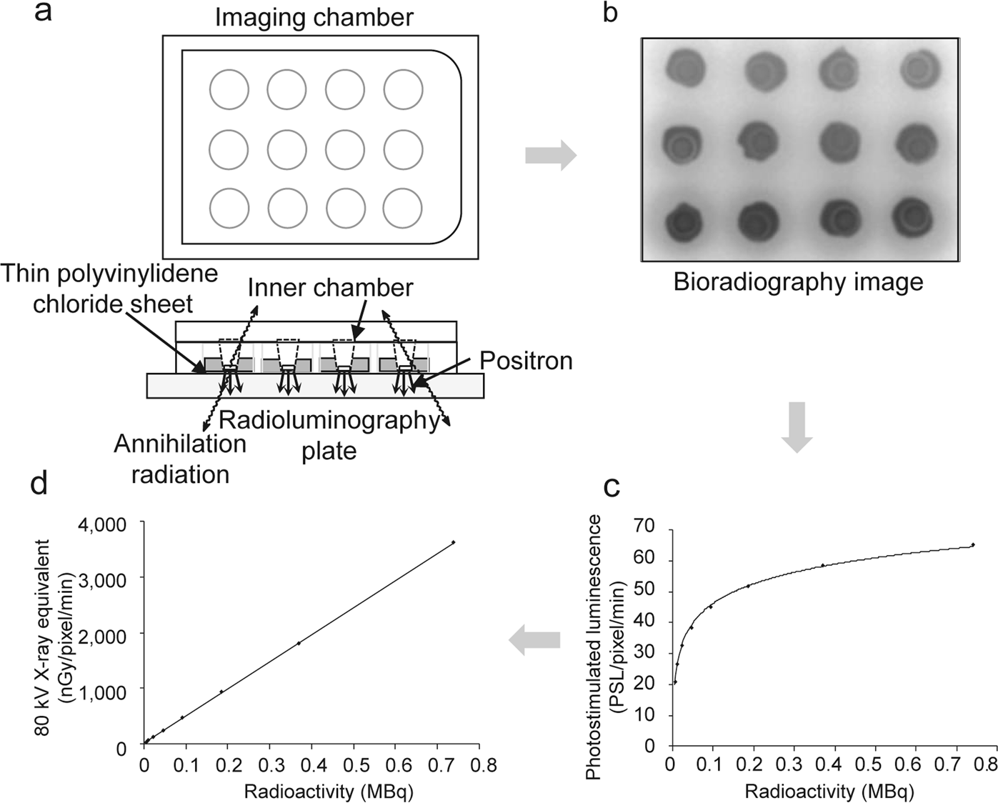 Evaluation of cell viability and metabolic activity of a 3D cultured human  epidermal model using a dynamic autoradiographic technique with a PET  radiopharmaceutical | Scientific Reports