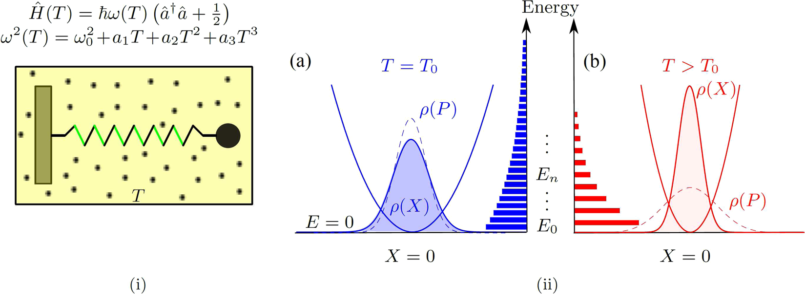 Heat capacities of thermally manipulated mechanical oscillator at strong  coupling | Scientific Reports
