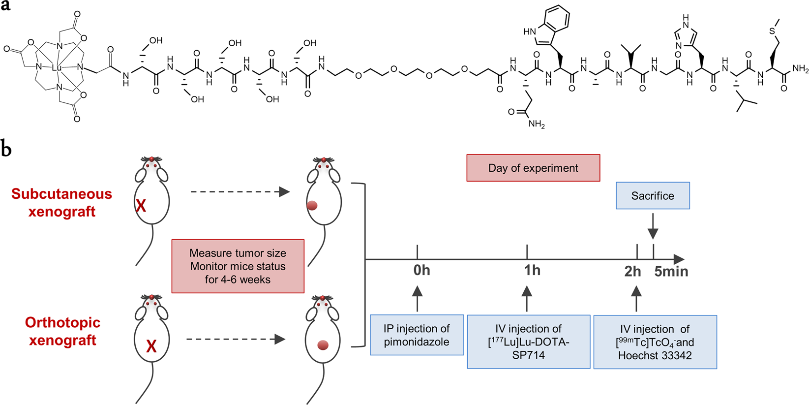 subcutaneous injection in mice