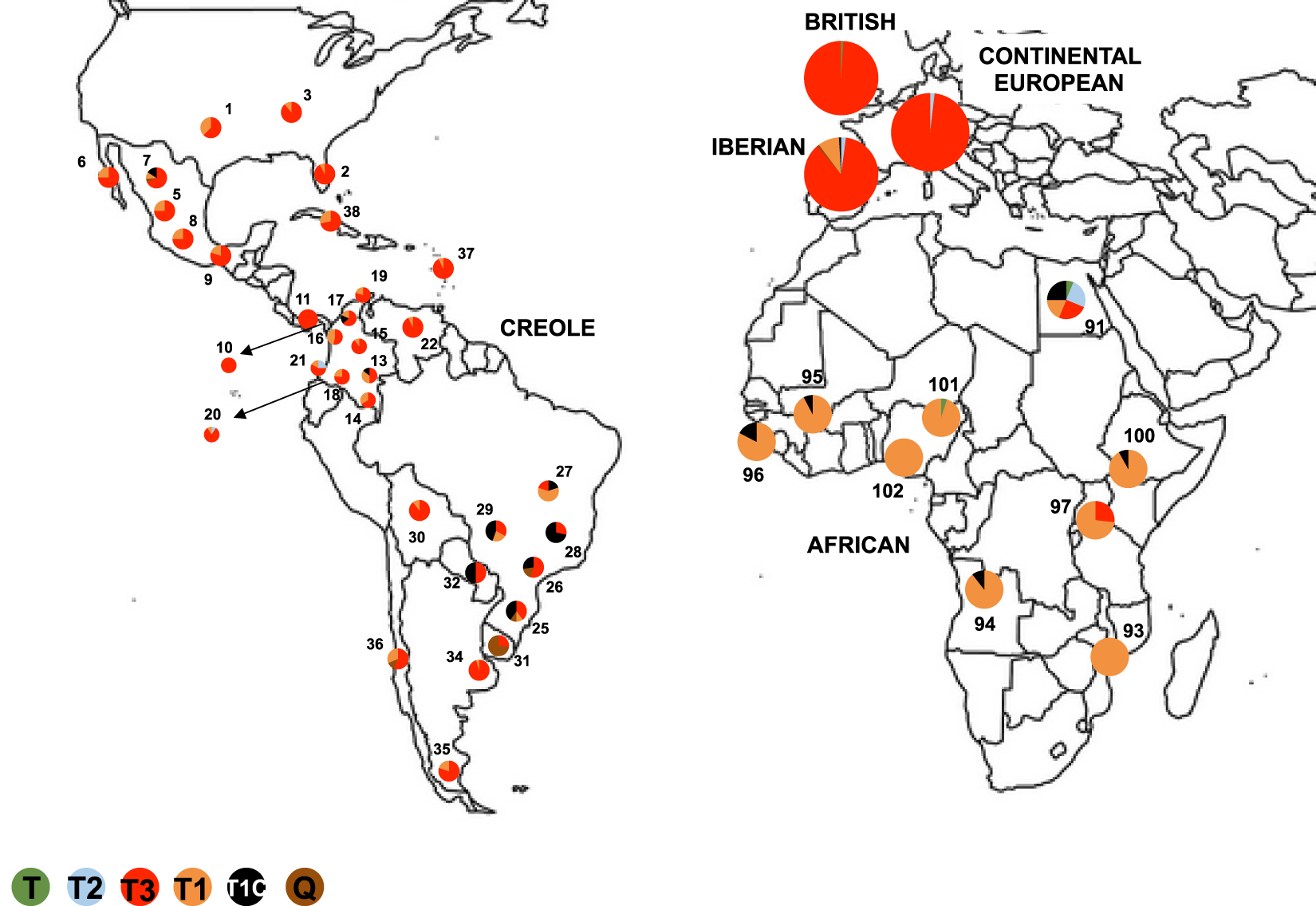 The genetic ancestry of American Creole cattle inferred from uniparental  and autosomal genetic markers | Scientific Reports