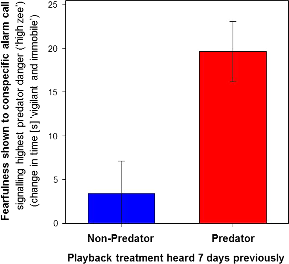Predator-induced fear causes PTSD-like changes in the brains and behaviour  of wild animals | Scientific Reports