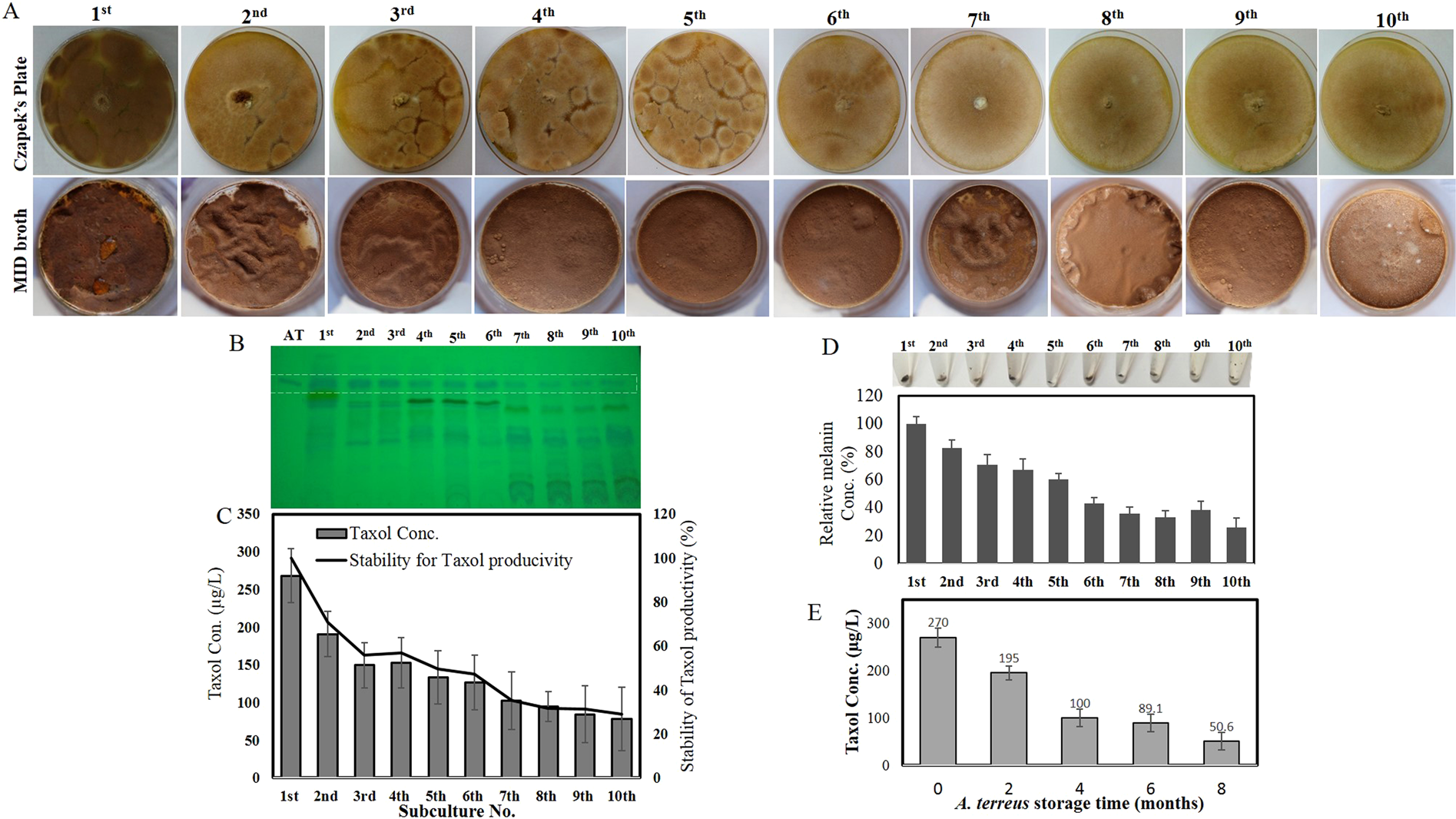 Restoring The Taxol Biosynthetic Machinery Of Aspergillus Terreus By Podocarpus Gracilior Pilger Microbiome With Retrieving The Ribosome Biogenesis Proteins Of Wd40 Superfamily Scientific Reports