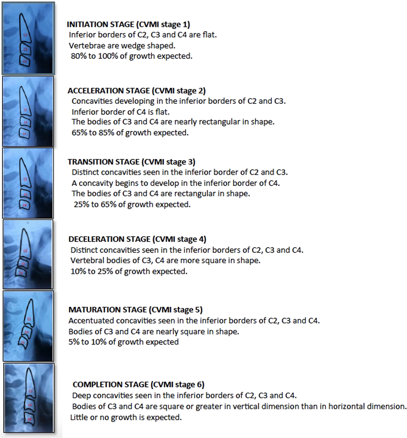 Alkaline Phosphatase Level Chart By Age