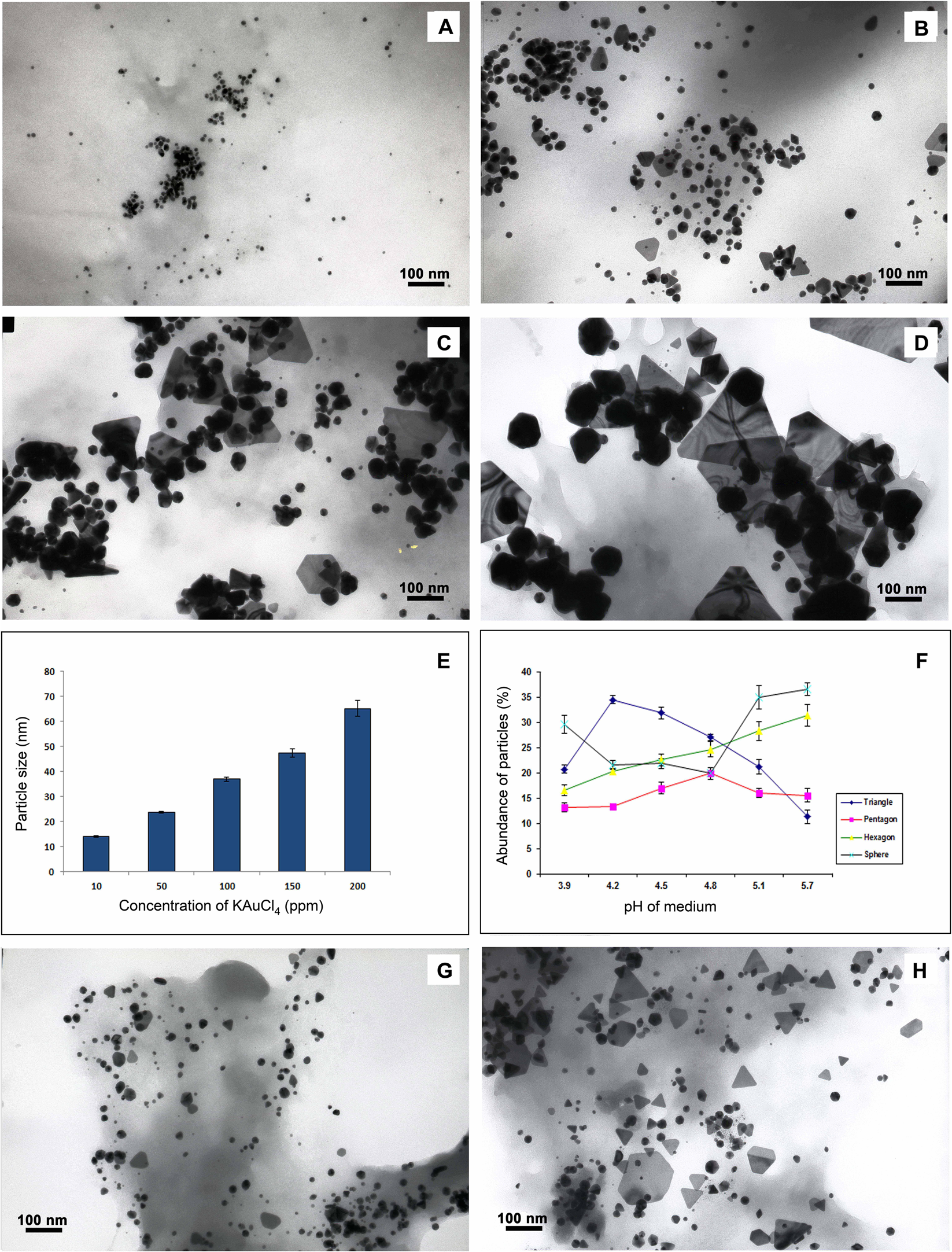 Fabrication Of Innocuous Gold Nanoparticles Using Plant Cells In Culture Scientific Reports