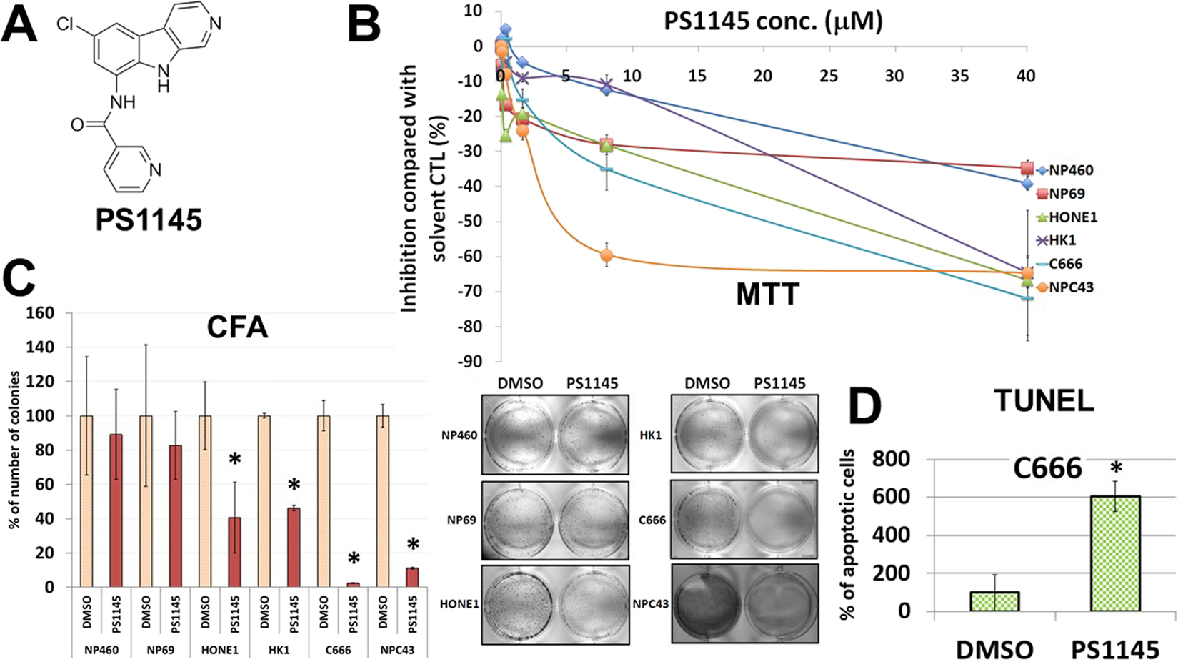The anti-tumor function of the IKK inhibitor PS1145 and high levels of p65  and KLF4 are associated with the drug resistance in nasopharyngeal  carcinoma cells | Scientific Reports