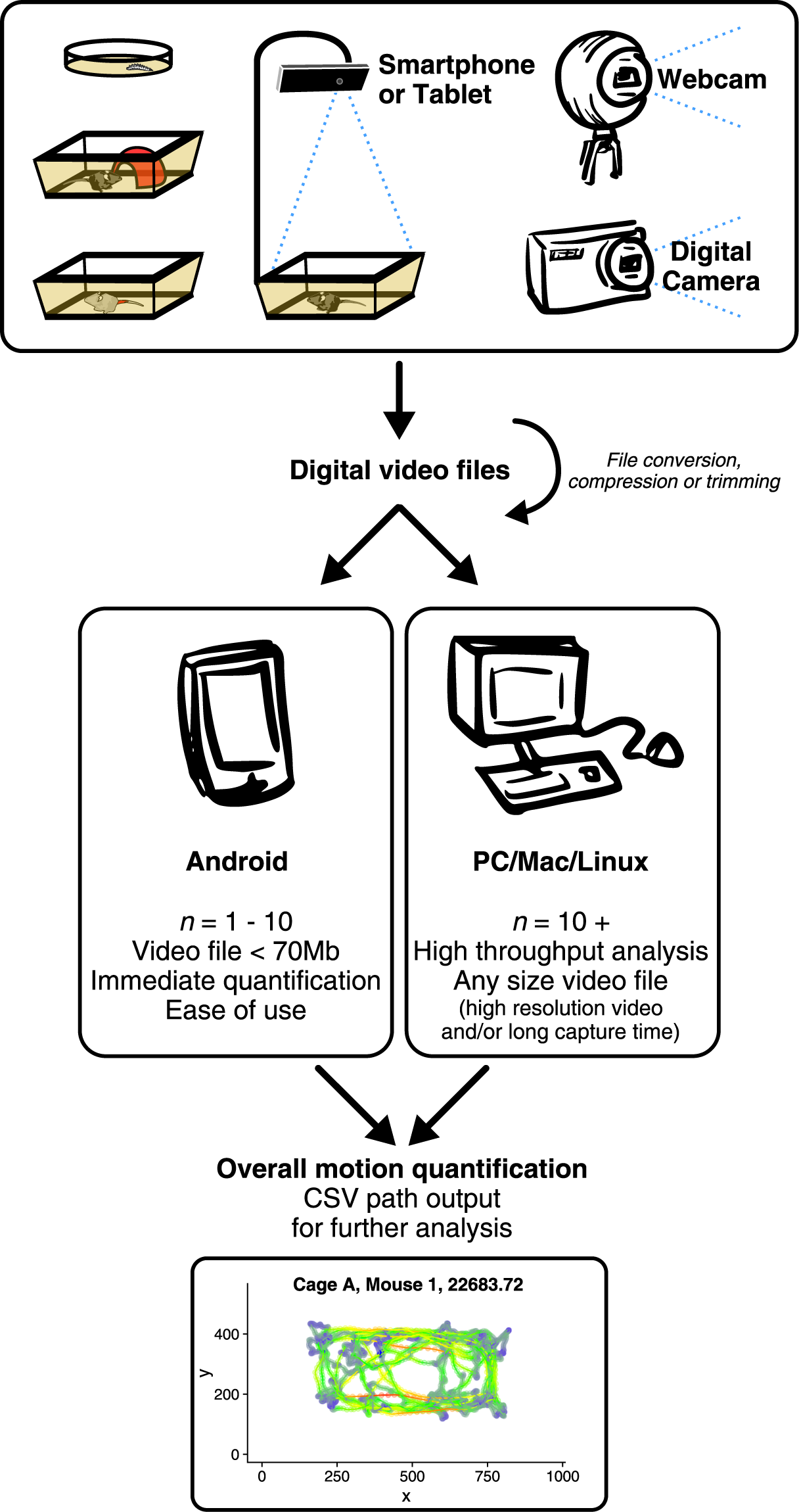 Small Animal Video Tracking for Activity and Path Analysis Using a Novel  Open-Source Multi-Platform Application (AnimApp) | Scientific Reports