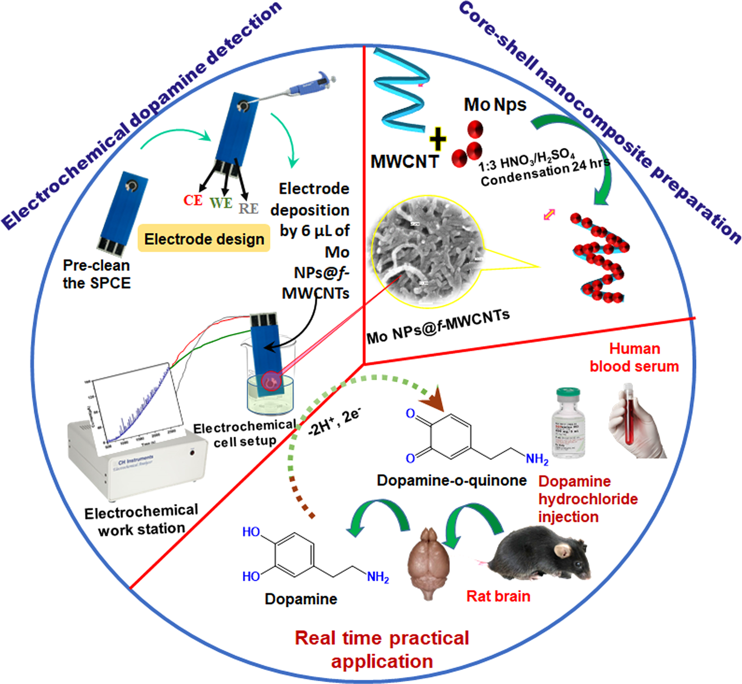 A Core Shell Molybdenum Nanoparticles Entrapped F Mwcnts Hybrid Nanostructured Material Based Non Enzymatic Biosensor For Electrochemical Detection Of Dopamine Neurotransmitter In Biological Samples Scientific Reports