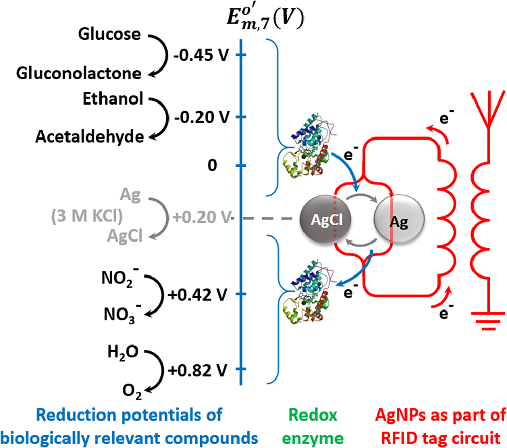 Sensing By Wireless Reading Ag Agcl Redox Conversion On Rfid Universal Battery Less Biosensor Design Scientific Reports