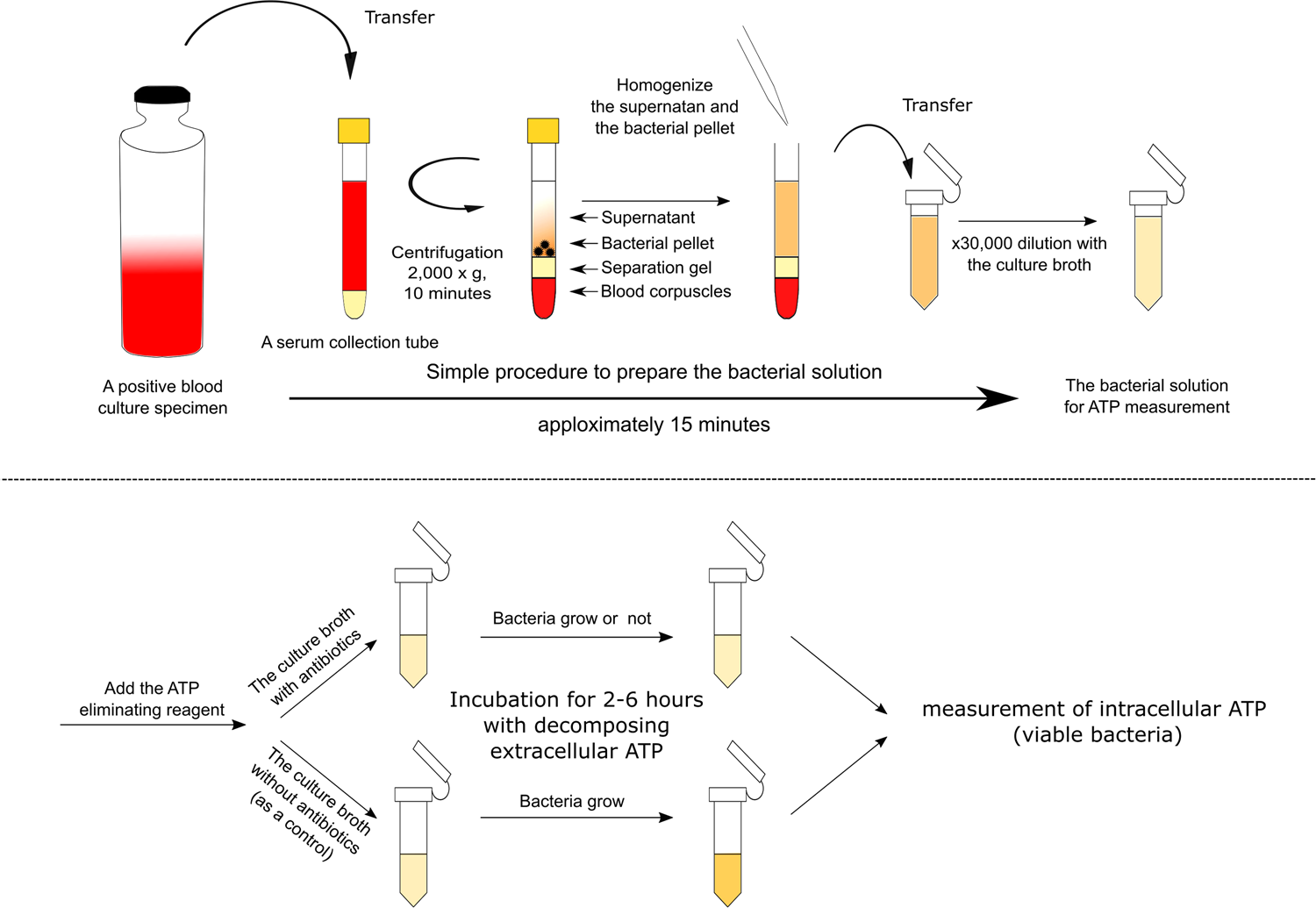A Rapid ATP Bioluminescence-based Test for Detecting Levofloxacin  Resistance Starting from Positive Blood Culture Bottles | Scientific Reports