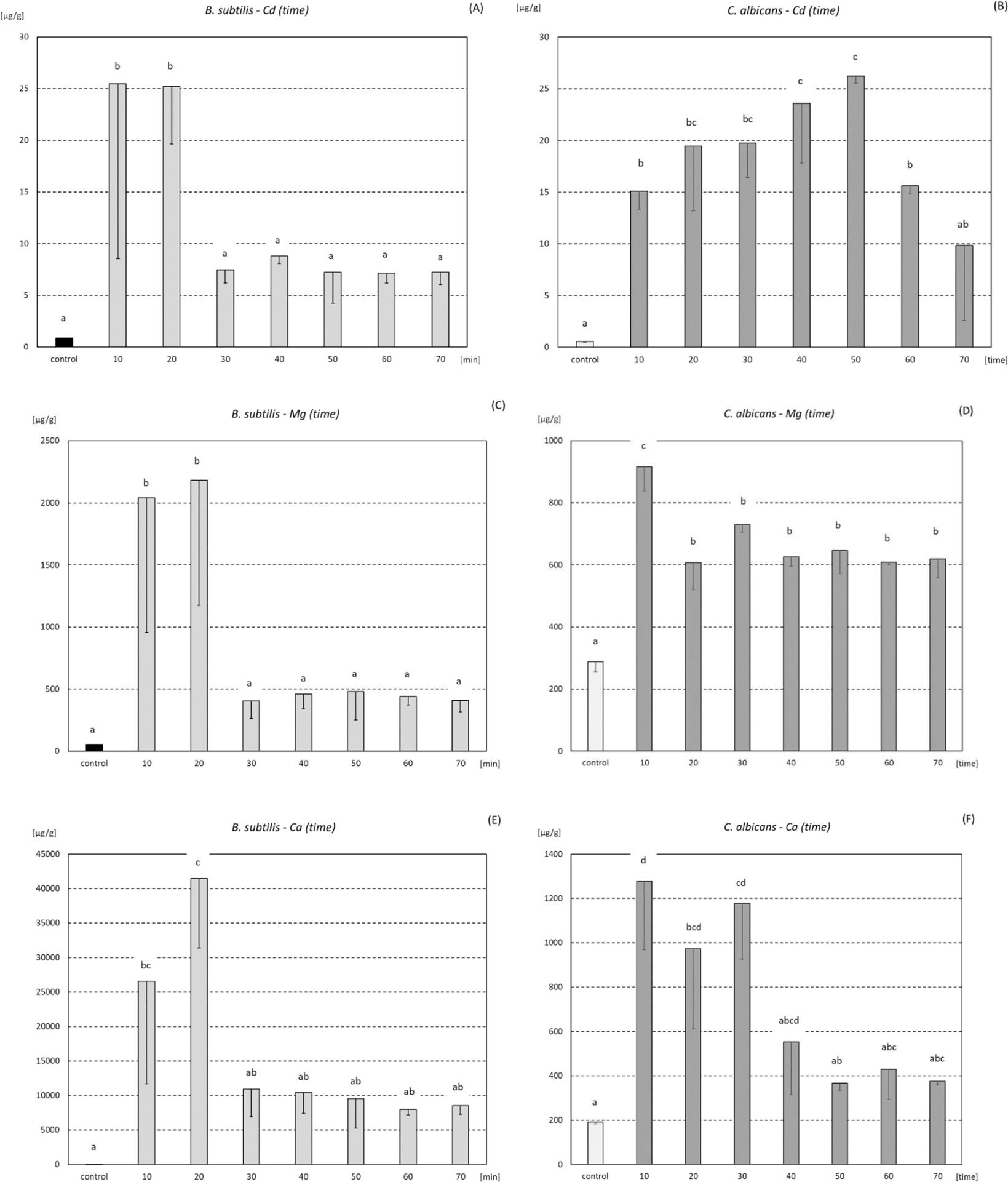 Adhesion Abilities And Biosorption Of Cd And Mg By - 
