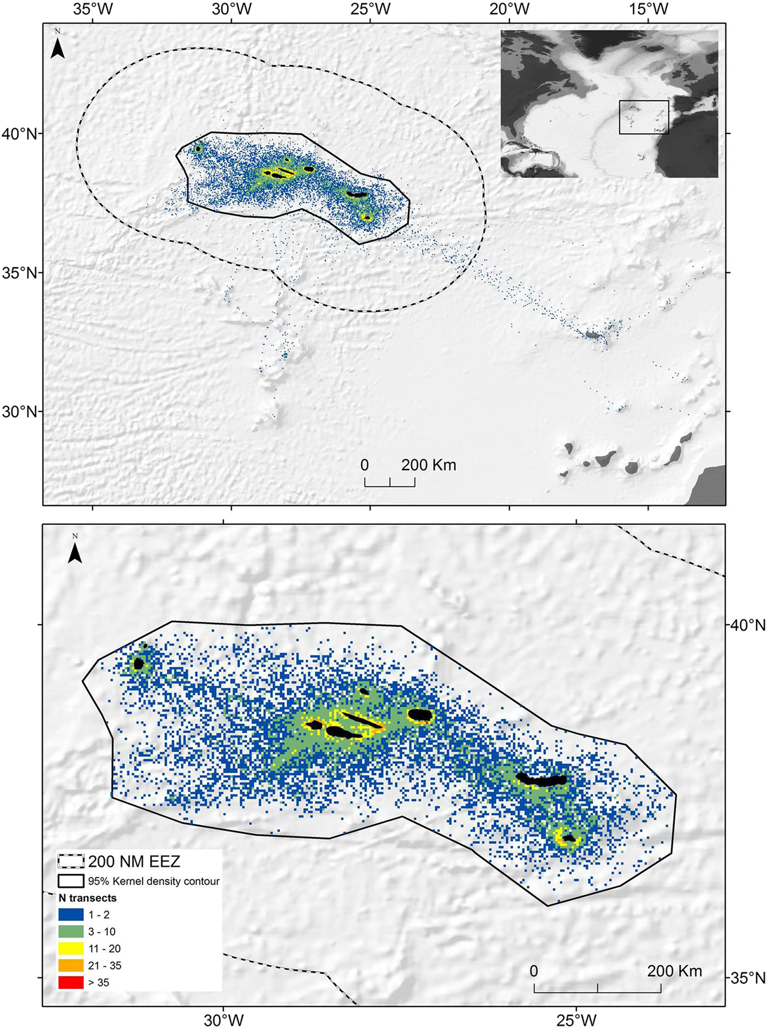 Relative abundance of oceanic juvenile loggerhead sea turtles in relation  to nest production at source rookeries: implications for recruitment  dynamics | Scientific Reports