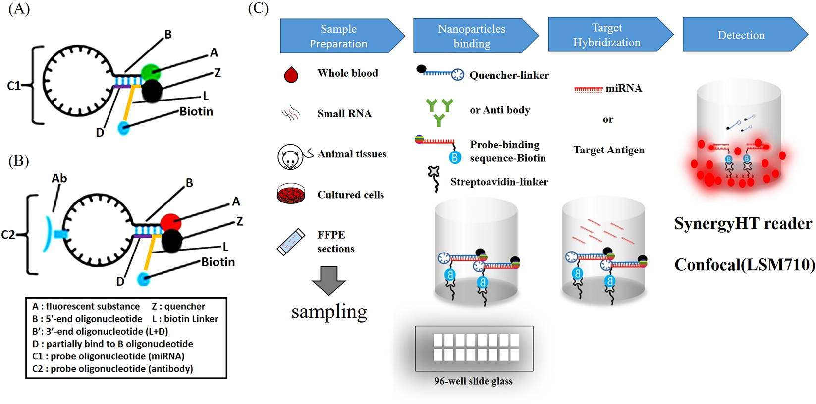 A novel kit for early diagnosis of Alzheimer's disease using a fluorescent  nanoparticle imaging | Scientific Reports