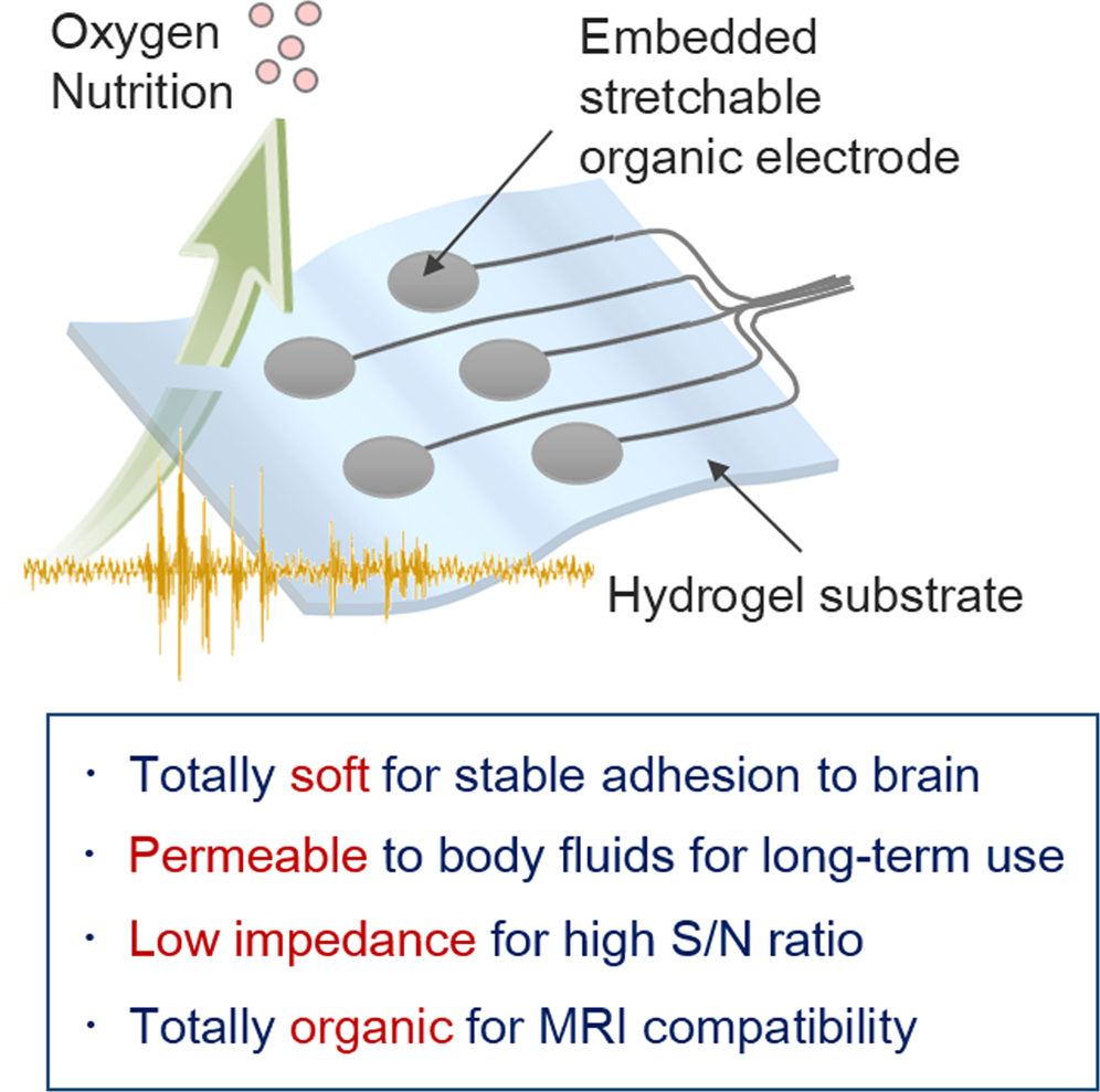 Hydrogel Based Organic Subdural Electrode With High - 