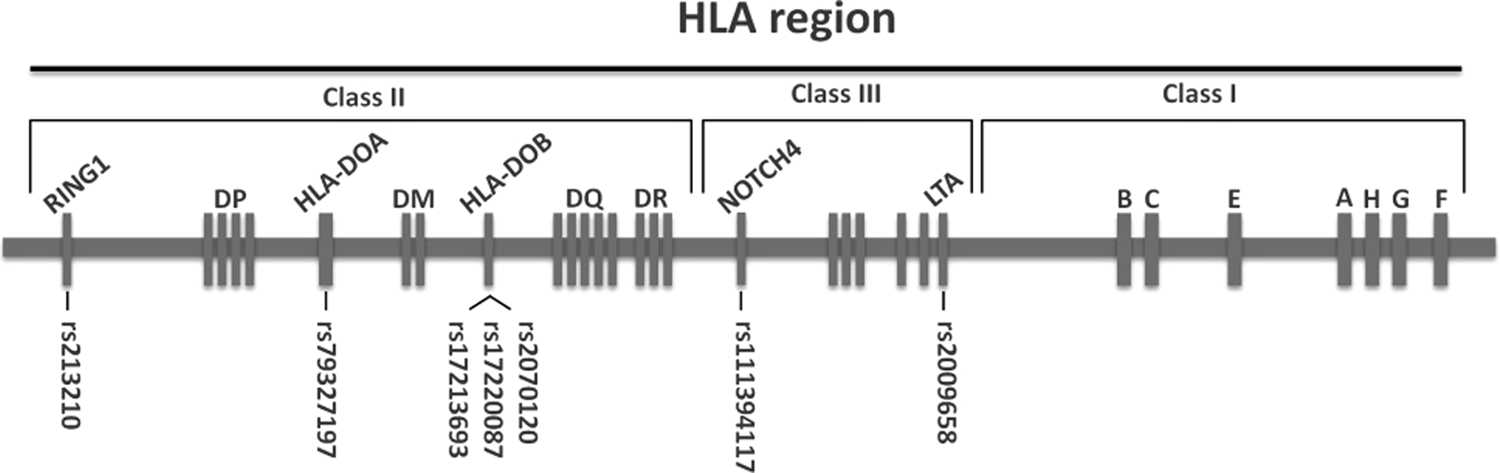 Association between single nucleotide polymorphisms within HLA region and  disease relapse for patients with hematopoietic stem cell transplantation |  Scientific Reports