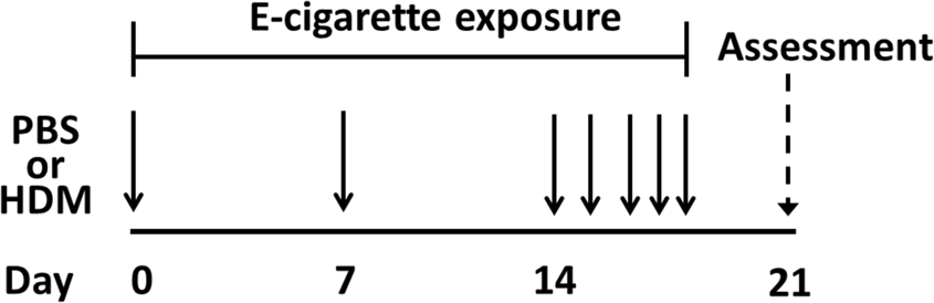 The Effect of Flavored E-cigarettes on Murine Allergic Airways ...