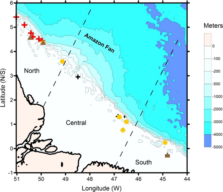 Insights on the evolution of the living Great Amazon Reef System,  equatorial West Atlantic | Scientific Reports