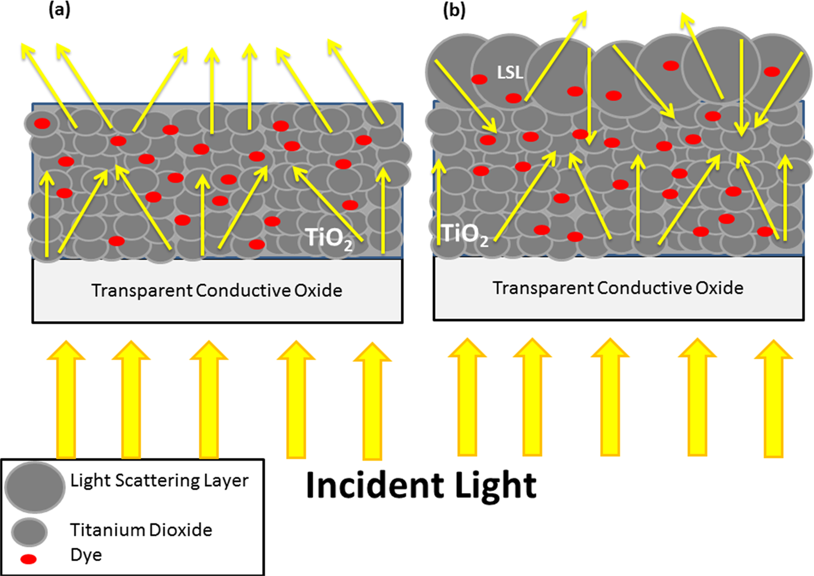 Light Scattering Effect Of Polyvinyl Alcoholtitanium