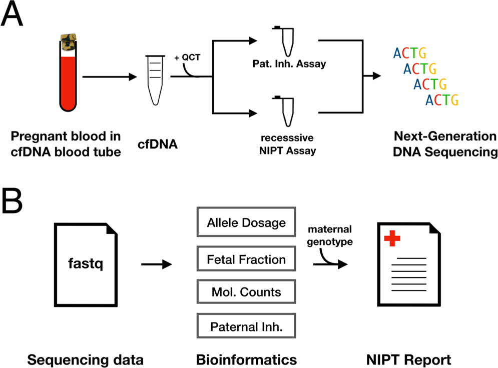 Fetal genome profiling at 5 weeks of gestation after noninvasive