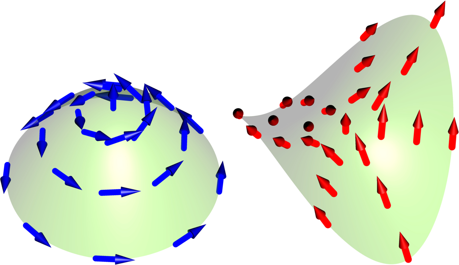 Winding Number Selection On Merons By Gaussian Curvature S Sign Scientific Reports
