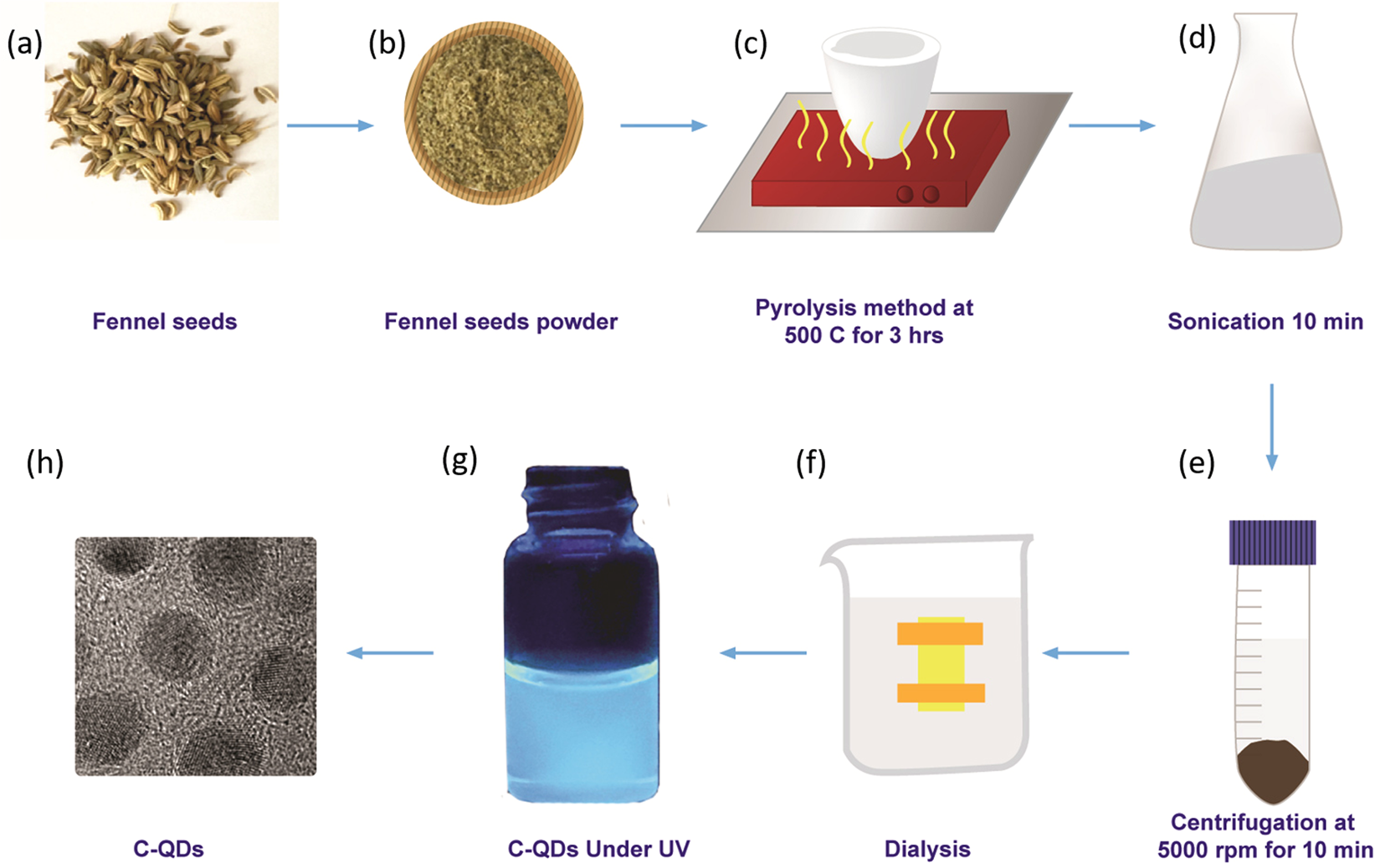 Synthesis And Characterization Of Mono Disperse Carbon Quantum
