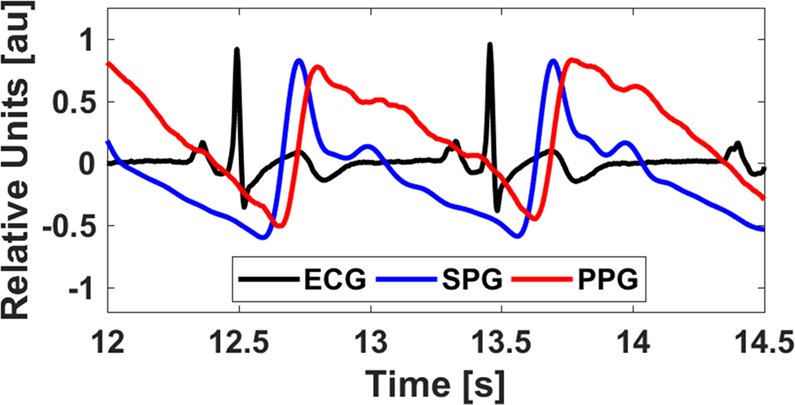 https://media.springernature.com/full/springer-static/image/art%3A10.1038%2Fs41598-019-50526-0/MediaObjects/41598_2019_50526_Fig1_HTML.png