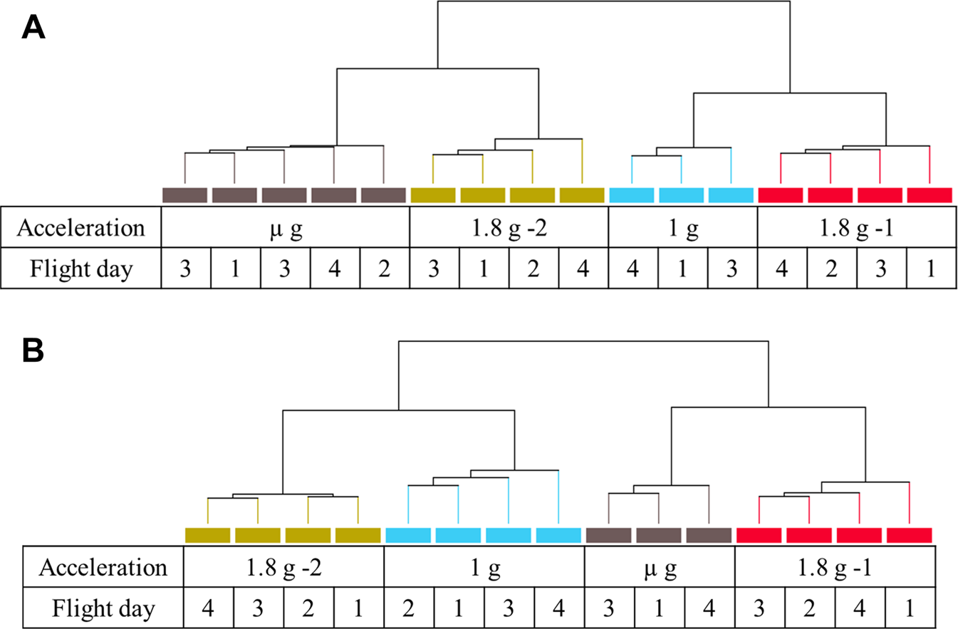 PDF) Transcriptome, proteome and draft genome of Euglena gracilis