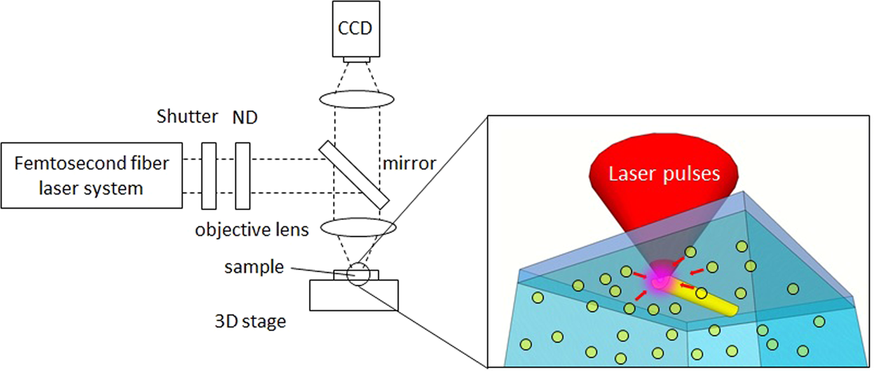 Versatile direct laser writing of non-photosensitive materials using  multi-photon reduction-based assembly of nanoparticles | Scientific Reports