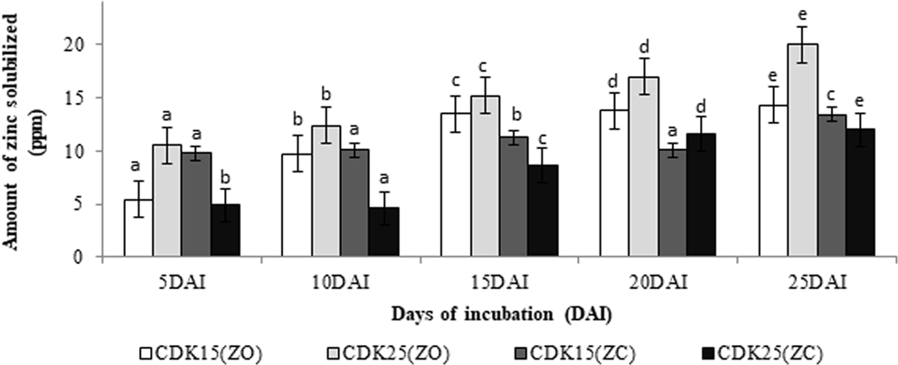 Decoding Multifarious Role Of Cow Dung Bacteria In Mobilization Of