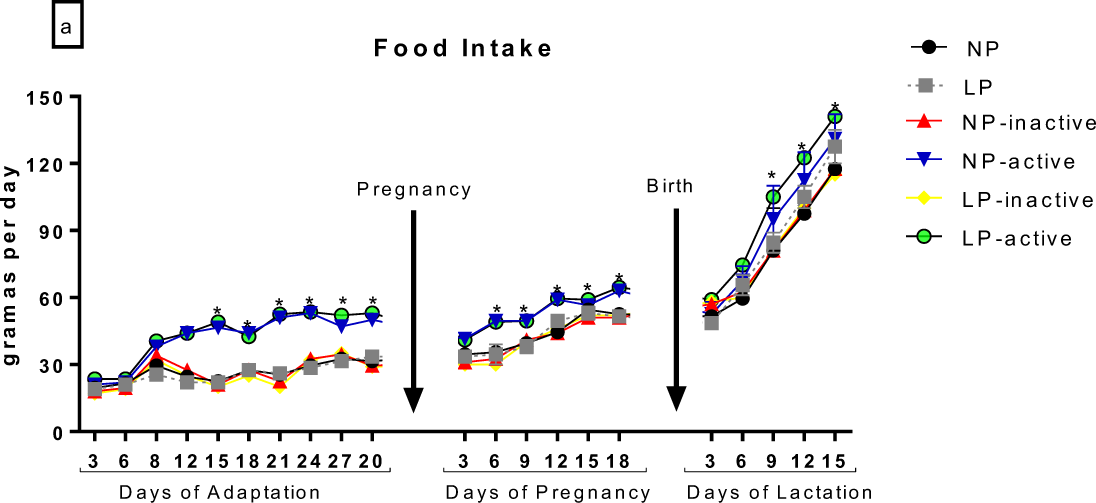 Maternal Physical Activity Prevents The Overexpression Of Hypoxia Inducible Factor 1 A And Cardiorespiratory Dysfunction In Protein Malnourished Rats Scientific Reports