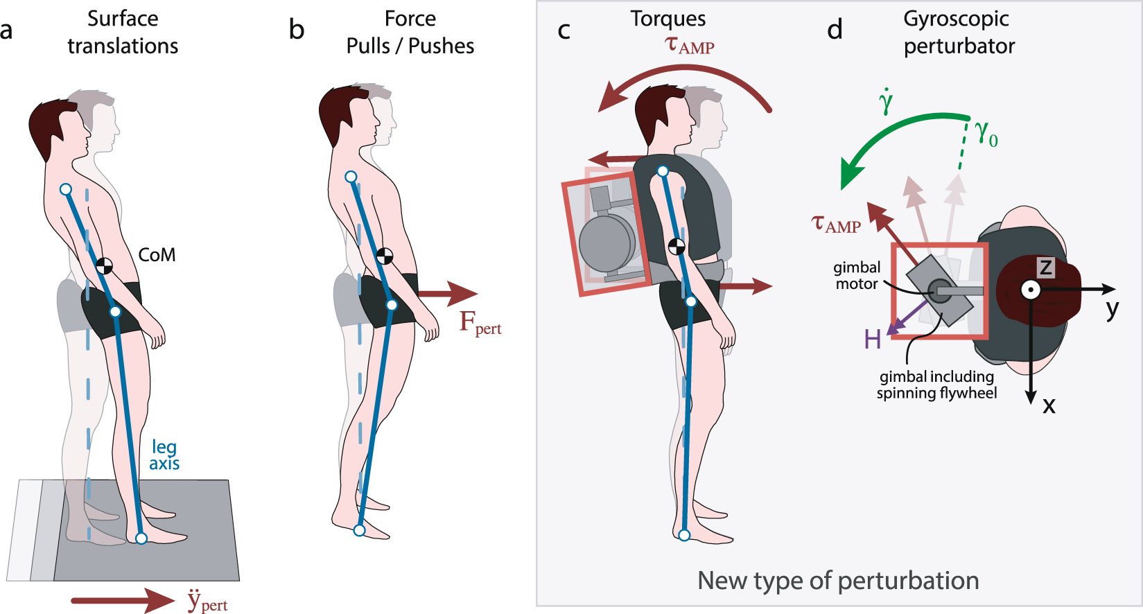 PDF) Specificity of surface EMG recordings for gastrocnemius during upright  standing