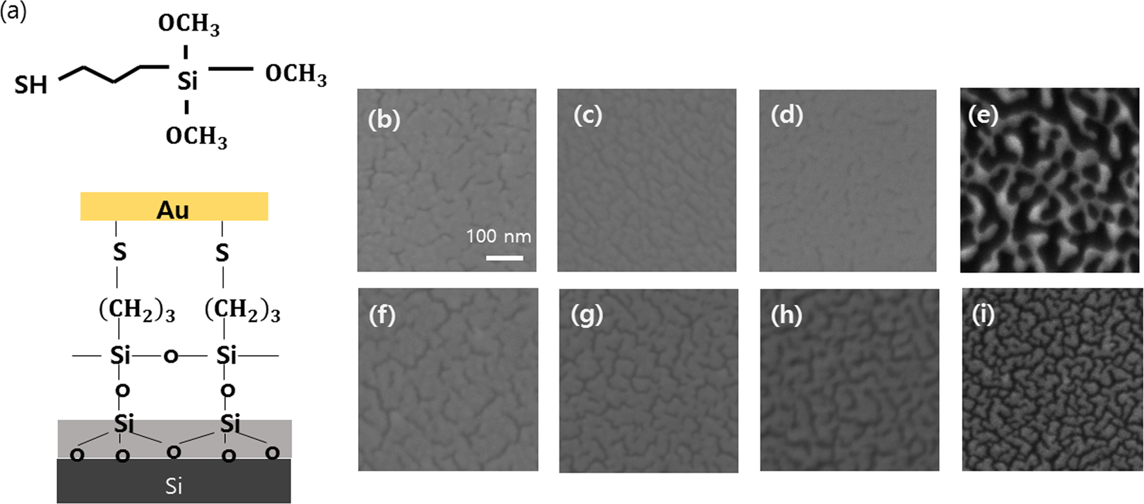 Enhanced terahertz conductivity in ultra-thin gold film deposited onto  (3-mercaptopropyl) trimethoxysilane (MPTMS)-coated Si substrates |  Scientific Reports