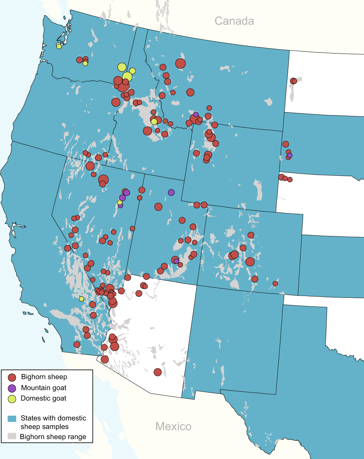 Genetic structure of Mycoplasma ovipneumoniae informs pathogen spillover  dynamics between domestic and wild Caprinae in the western United States |  Scientific Reports