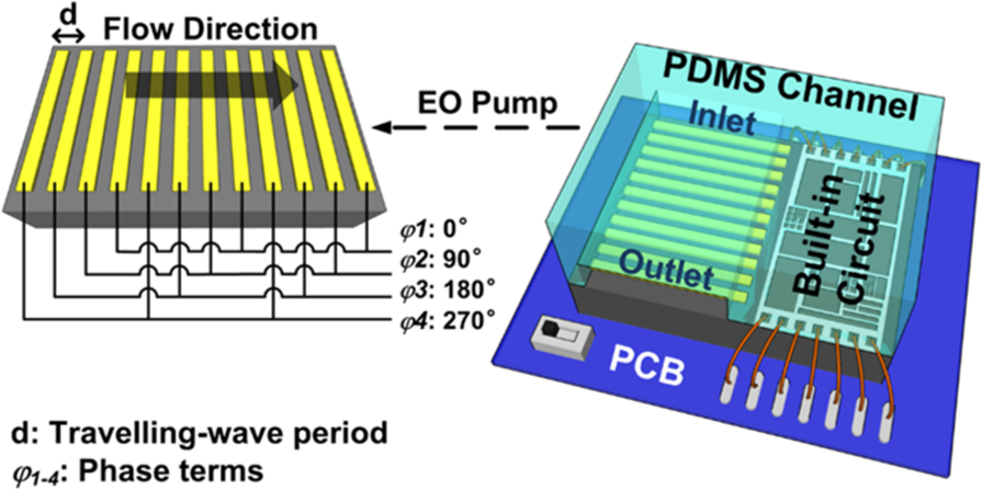 A Low-Power CMOS Pump Based on Travelling-Wave for Diluted Serum Pumping | Scientific Reports
