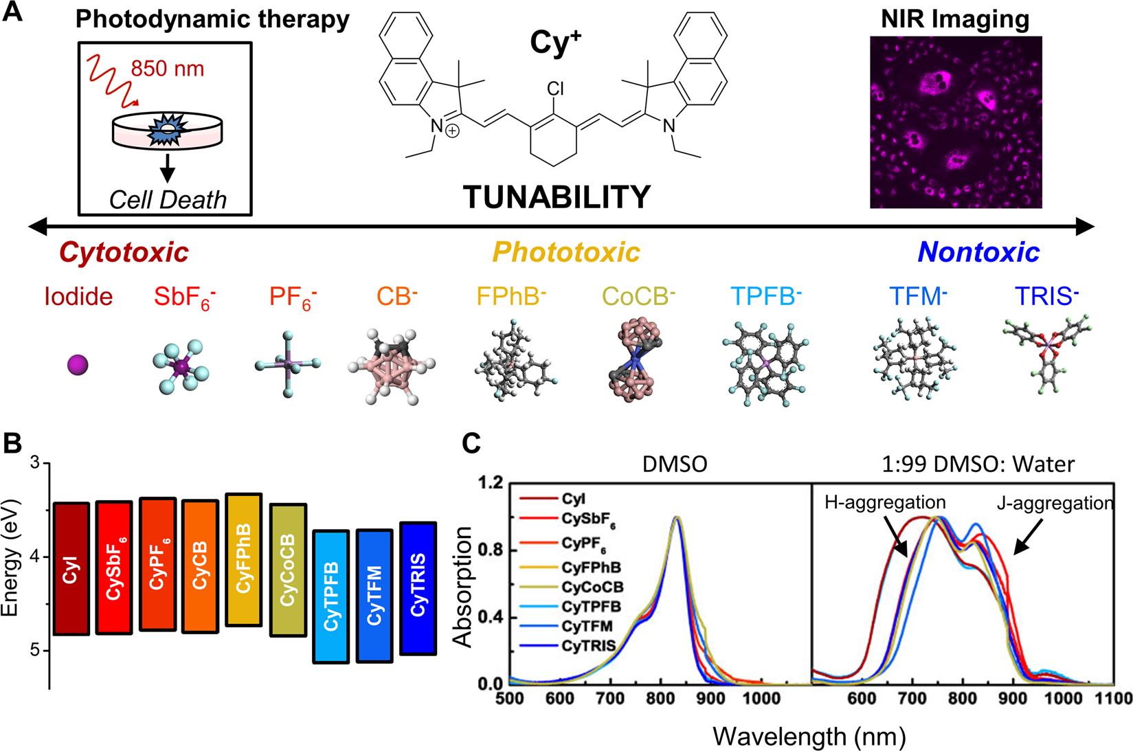 Modulating Cellular Cytotoxicity And Phototoxicity Of Fluorescent Organic Salts Through Counterion Pairing Scientific Reports