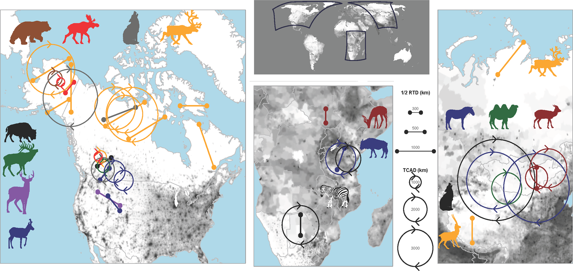 Longest Terrestrial Migrations And Movements Around The World Scientific Reports