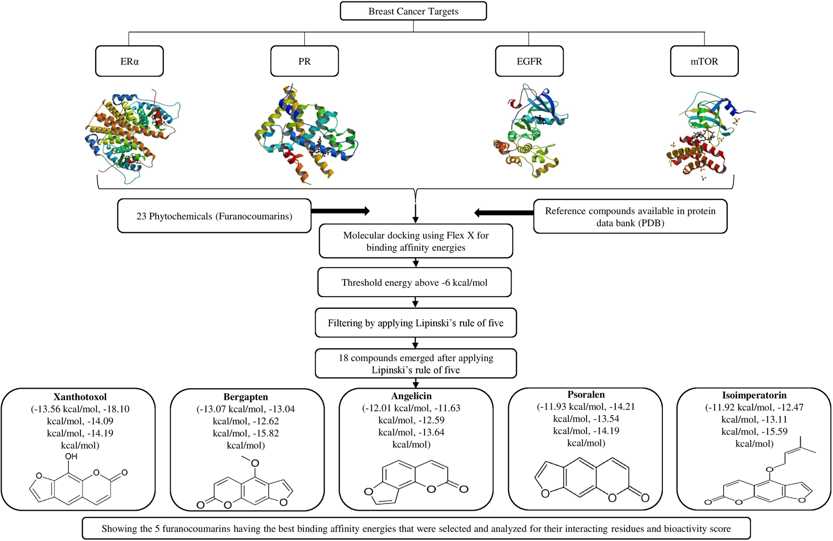 Structure Based Multitargeted Molecular Docking Analysis of Selected  Furanocoumarins against Breast Cancer | Scientific Reports