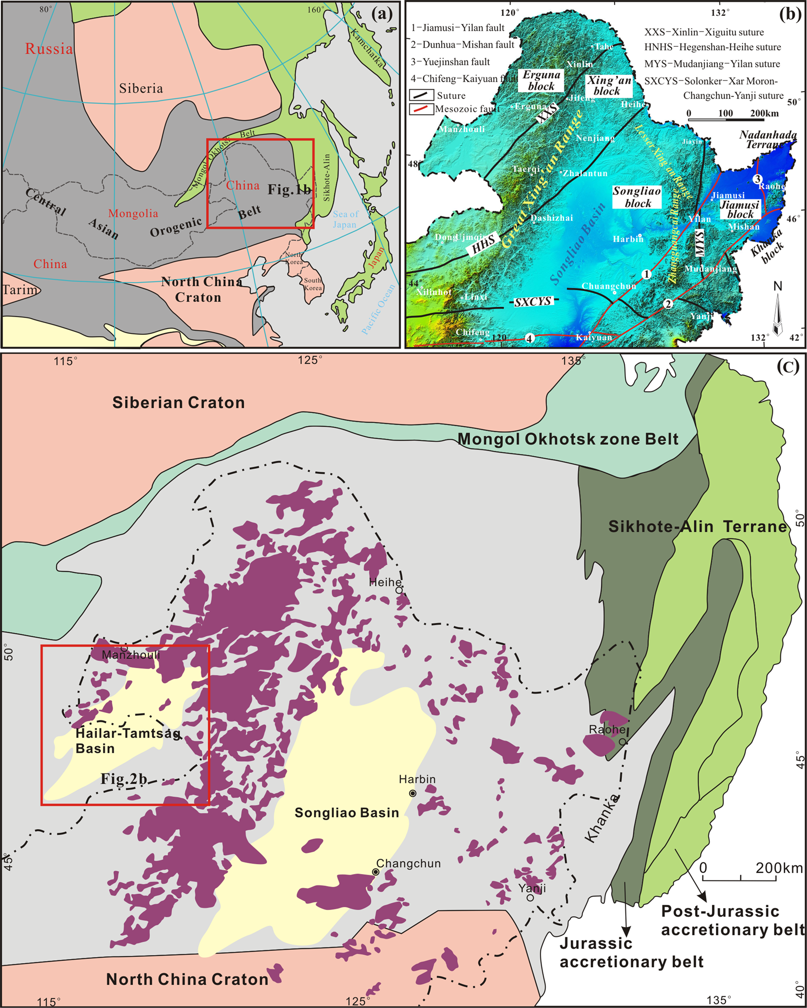 Main tectonic map of the Central Asian Orogen Belt (CAOB; modified