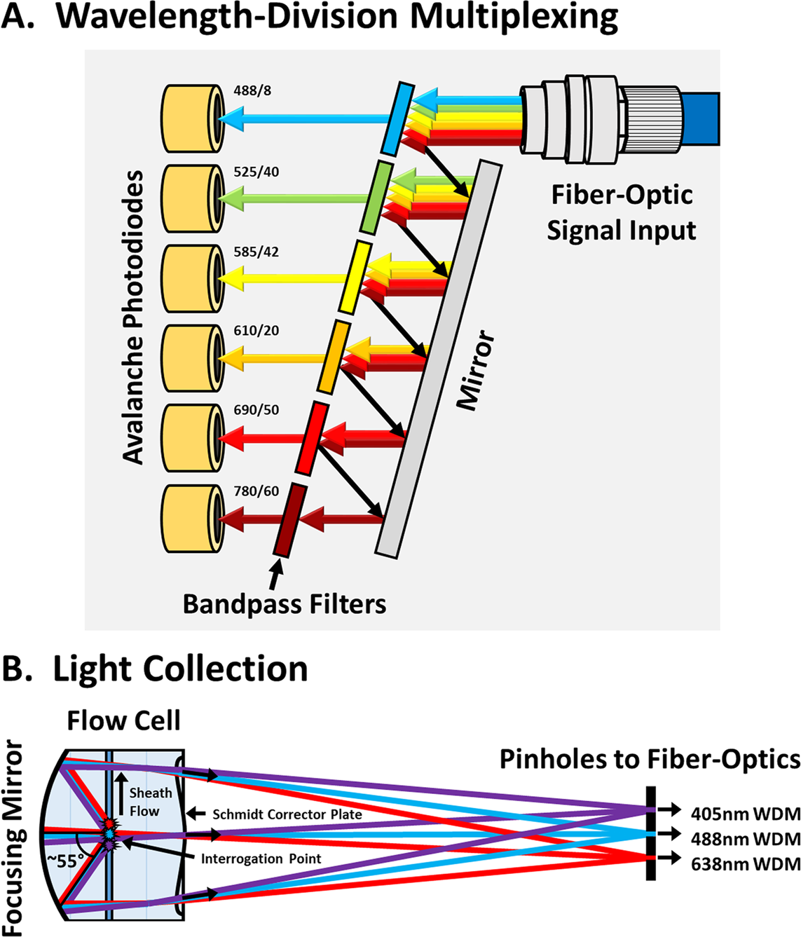 Flow Cytometry Wavelength Chart